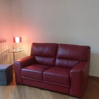Poltrone e sofà, divano pelle, due posti,bordeaux