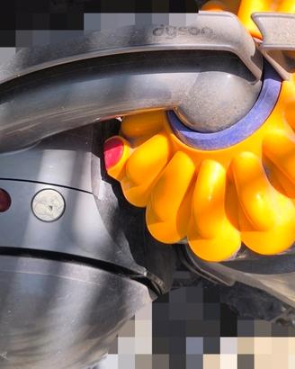 aspirapolvere Dyson ball
