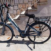 bicicletta elettrica 