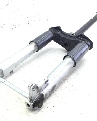 PIAGGIO ZIP 2T 50 FORCELLA FODERI STELI E PIASTRA 