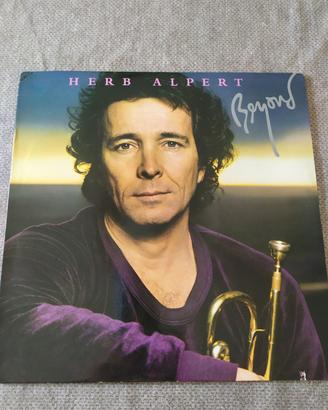 Herp Alpert 6 dischi 33 giri