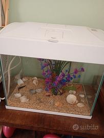 acquario 