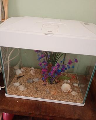 acquario 