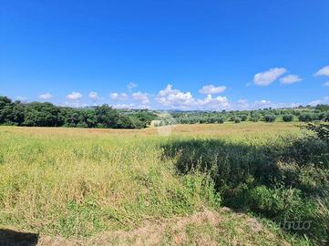 TER. AGRICOLO A NARNI