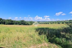 TER. AGRICOLO A NARNI