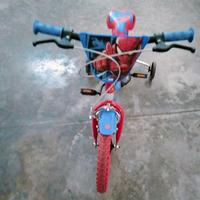 bicicletta 