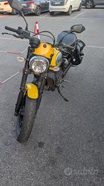 Ducati scrambler 800