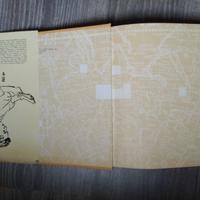 Incontro con l'Asia, Fosco Mariaini, De Donato