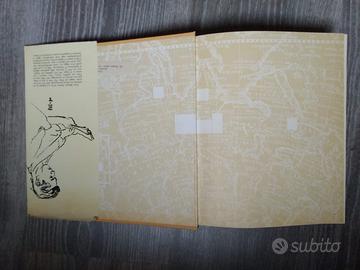 Incontro con l'Asia, Fosco Mariaini, De Donato