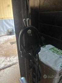 Speroni da equitazione