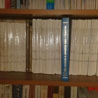 Riviste NUOVA ELETTRONICA