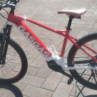 GasGas cross country 3.0 ruote da 29"