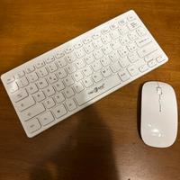 tastiera e mause wireless pc