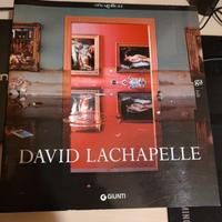 David Lachapelle 