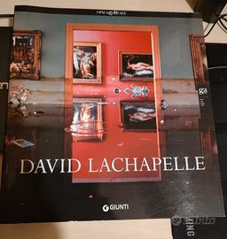David Lachapelle 