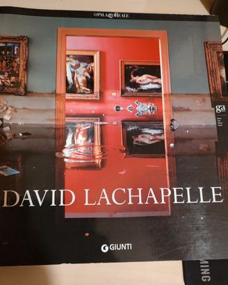 David Lachapelle 