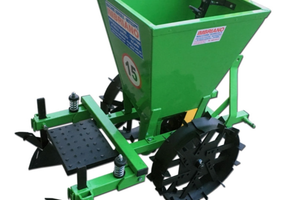 Seminapatate - piantapatate