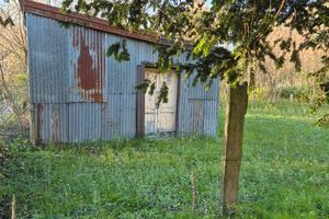 Terreno agricolo