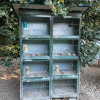 Gabbia per uccelli da cova 8 scomparti