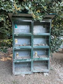 Gabbia per uccelli da cova 8 scomparti