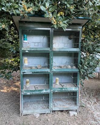 Gabbia per uccelli da cova 8 scomparti