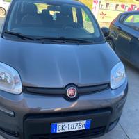 Fiat panda hybrid benzina