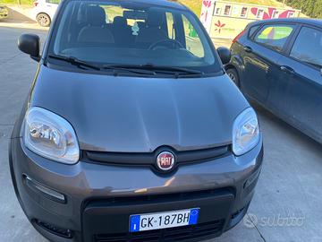 Fiat panda hybrid benzina