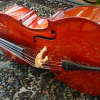 Violoncello OCTON 4/4 + accessori