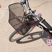 bicicletta bimba 20