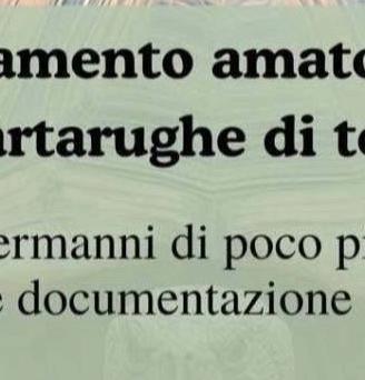 Tartaruga testudo hermanni fonte C