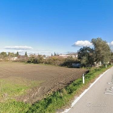 Terreno agricolo capua 1000mq circa - Vista 4