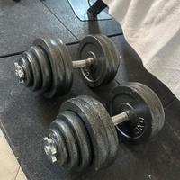 manubri palestra