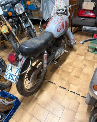 Morini Settebello 250 solo targa