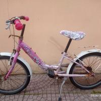 Bicicletta cerchio 20