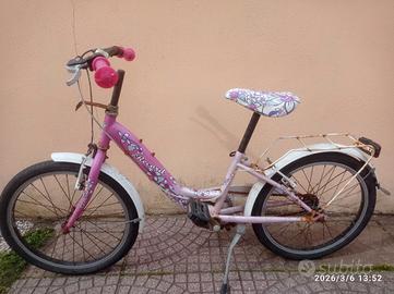 Bicicletta cerchio 20