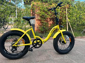 Bicicletta Fat Bike