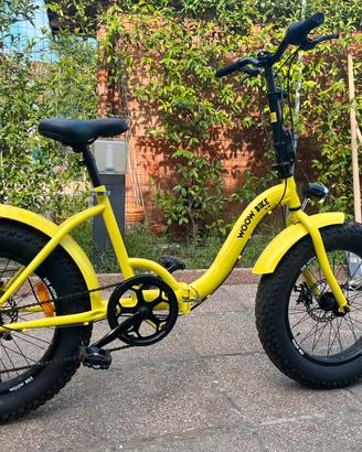 Bicicletta Fat Bike