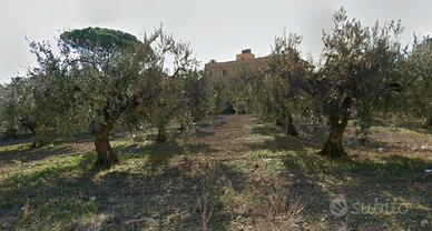 Castelvetrano Edificabile Via Giovanni Gentile