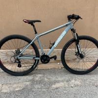 Mtb 29 lombardo