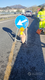 Operaio edile stradale