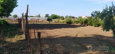 Appezzamento di terreno