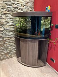 Acquario Juwel Trigon 190 Led