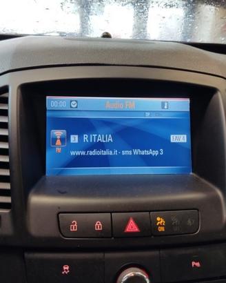 Display OPEL INSIGNIA del 2009