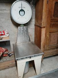 bilancia professionale, min 2,5kg max150kg