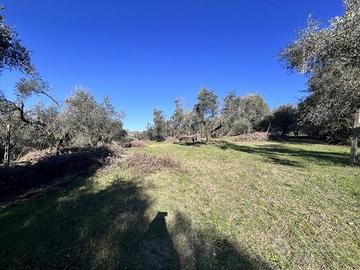 Terreno Residenziale Fonte Nuova