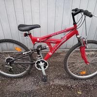 MOUNTAIN BIKE, USATA POCO