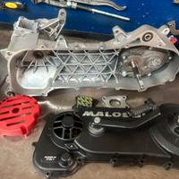 Carter malossi c one piaggio