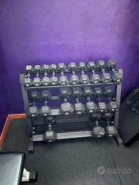 Set manubri esagonali Lacertosus  + rastrelliera