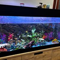 Acquario 300 L