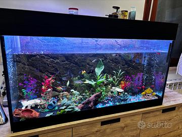 Acquario 300 L